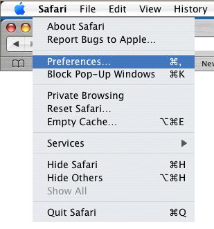 Safari - unable to browse 1